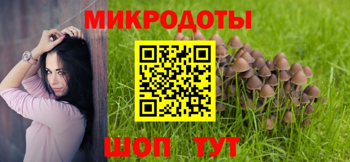Усть-Джегута  Псилоцибиновые грибы Cubensis  Вход с VPN  Псилоцибиновые грибы ЛСД 